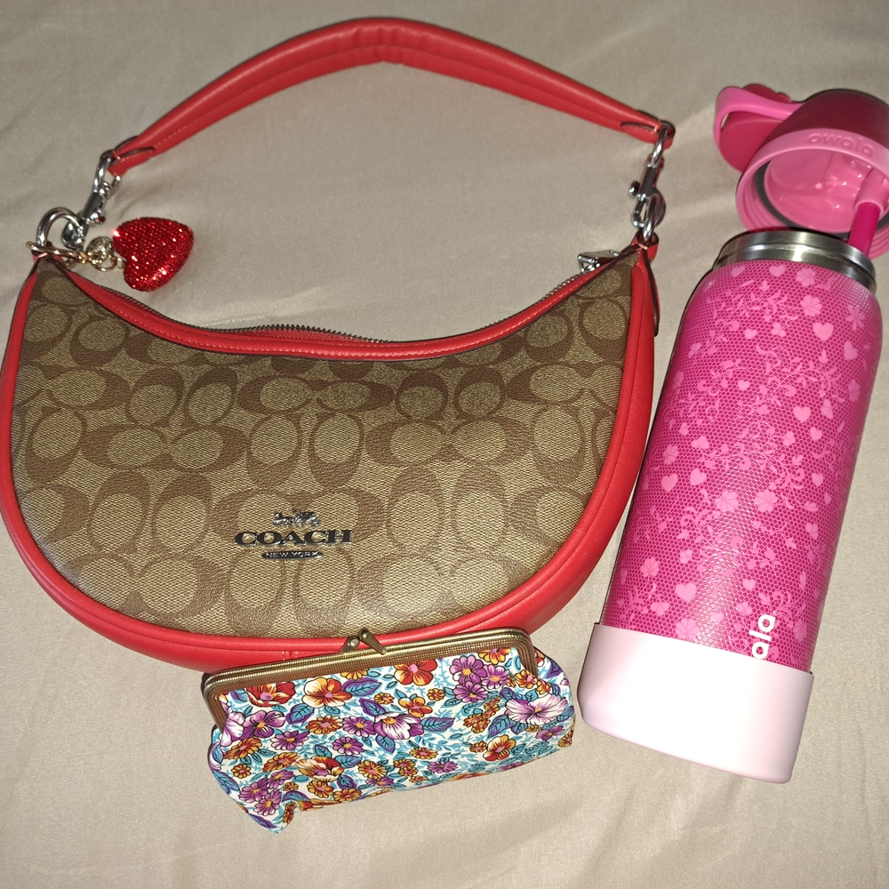 Coach Brown and Red Crossbody Bag with Signature Style